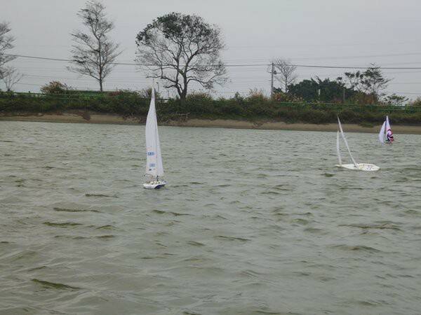 m_P1010849.JPG
