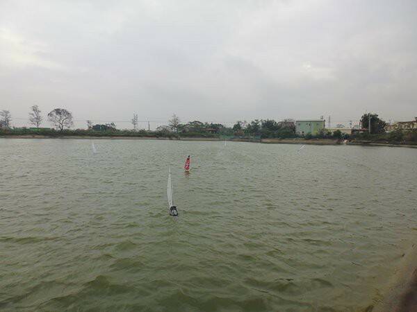 m_P1010853.JPG