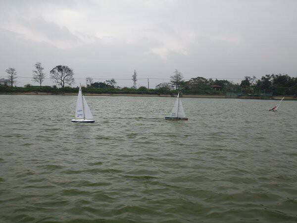 m_P1010872.JPG