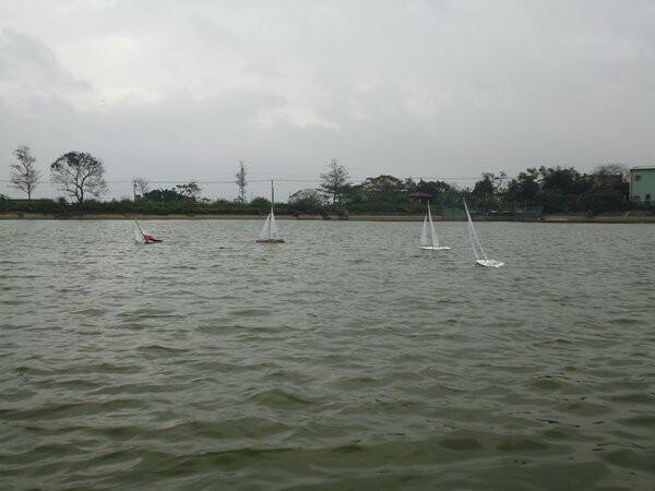 m_P1010877.JPG