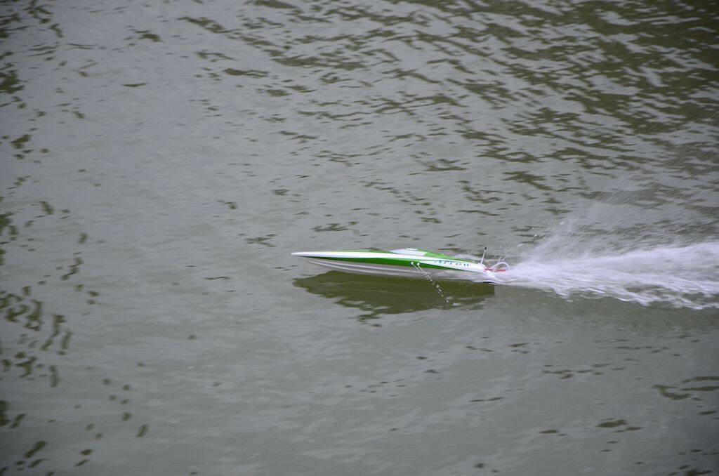 DSC_0461.jpg