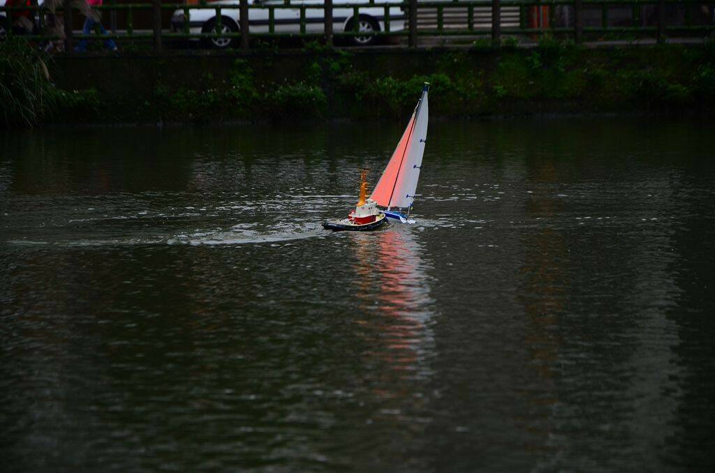DSC_0482.jpg