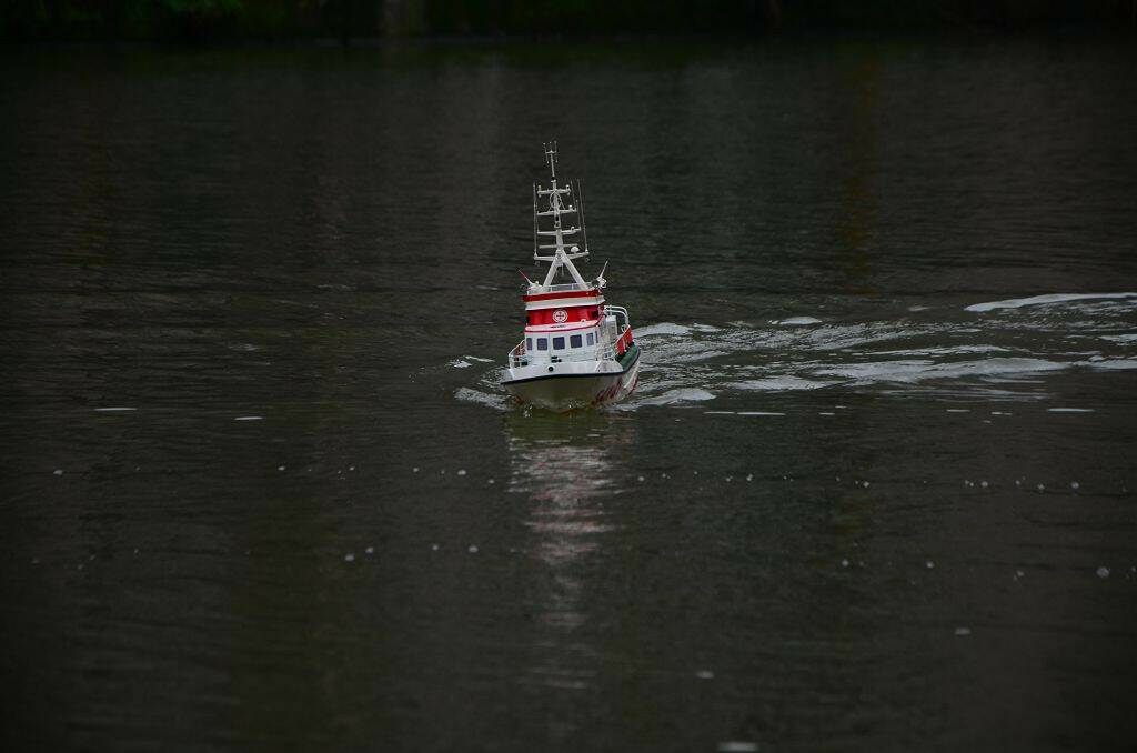 DSC_0491.jpg