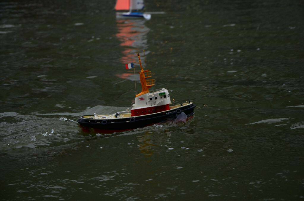 DSC_0498.jpg