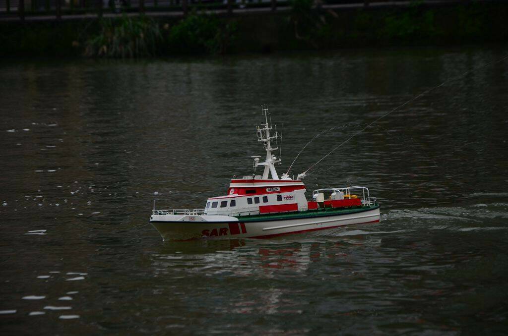 DSC_0533.jpg