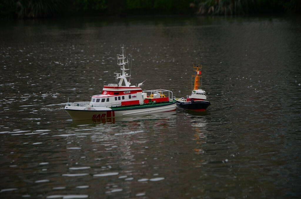 DSC_0556.jpg