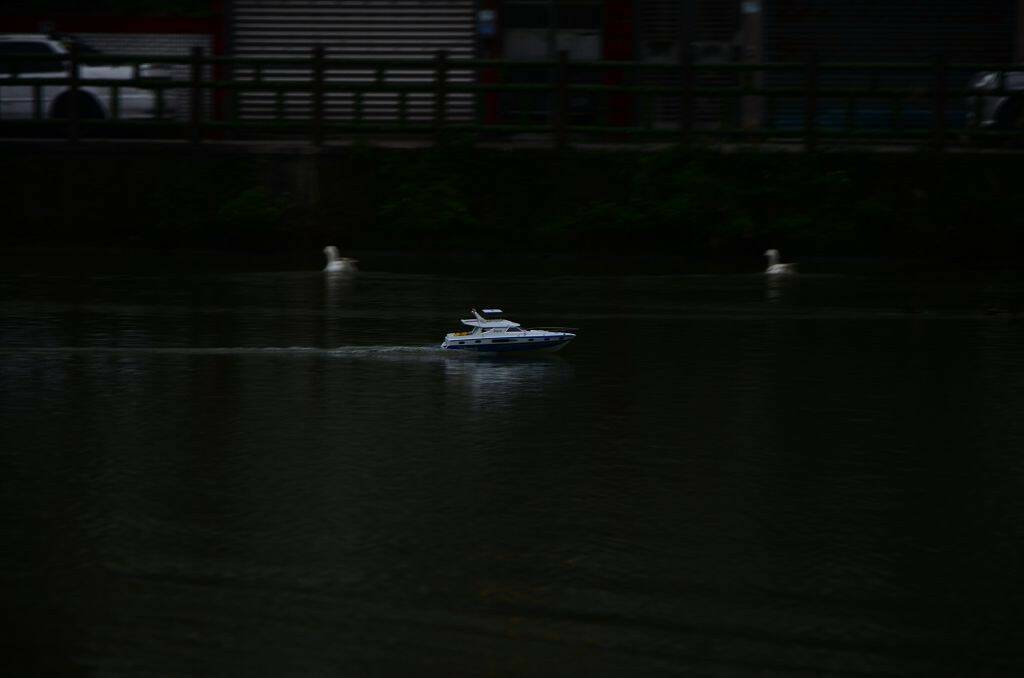 DSC_0572.jpg