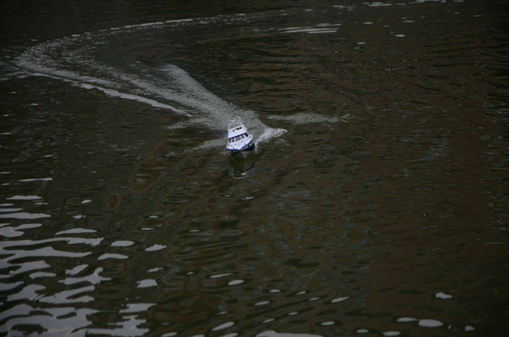 DSC_0597.jpg