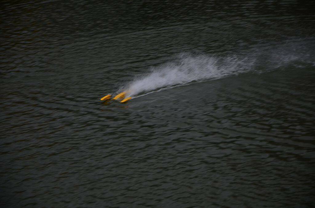 DSC_0621.jpg