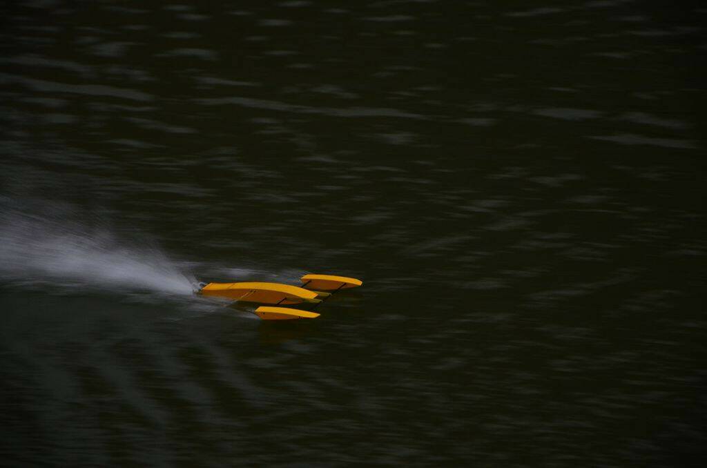 DSC_0617.jpg