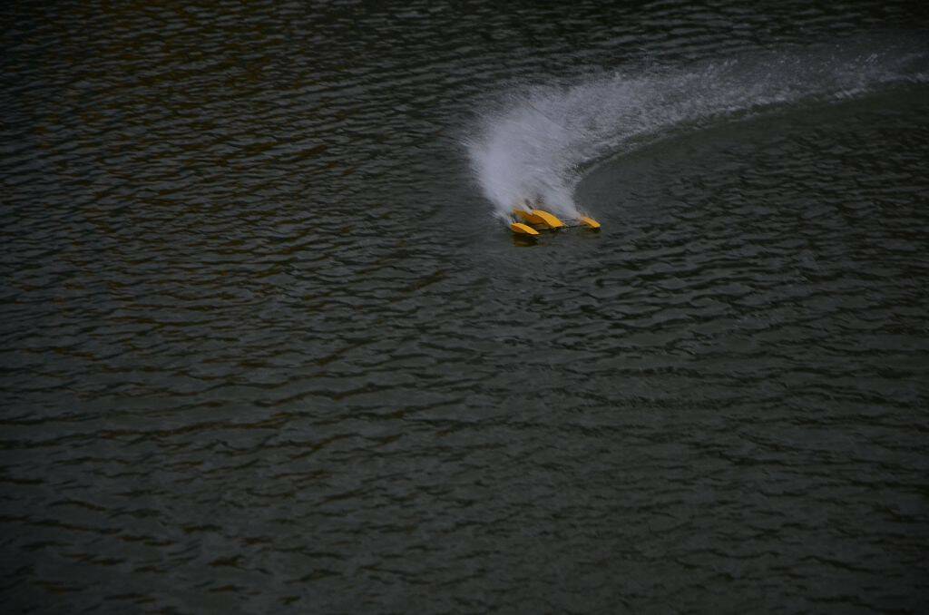 DSC_0630.jpg