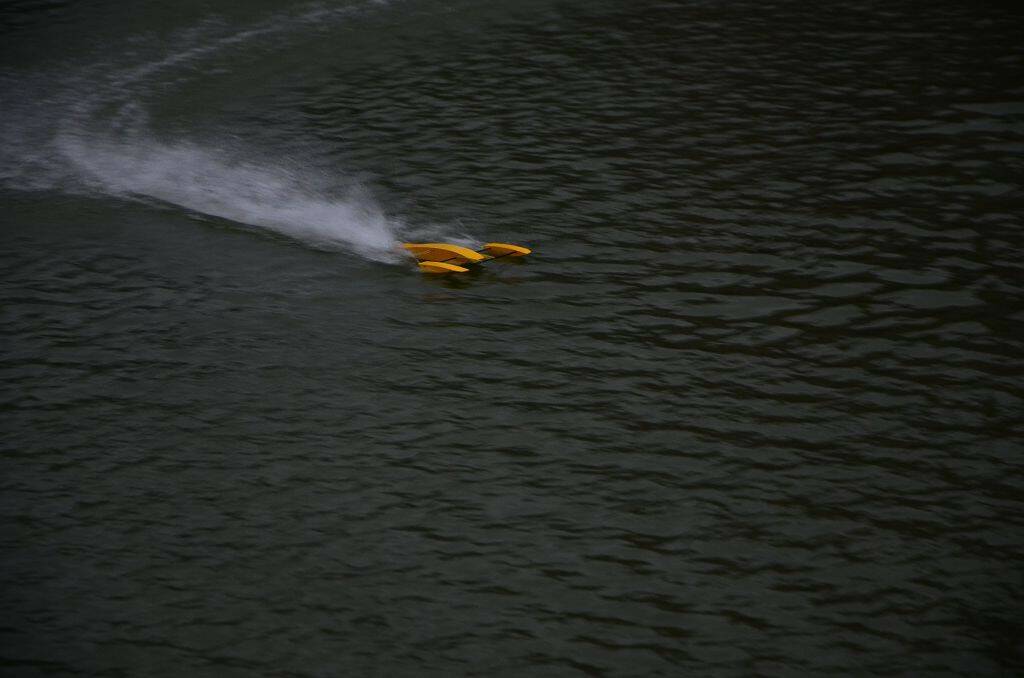 DSC_0631.jpg