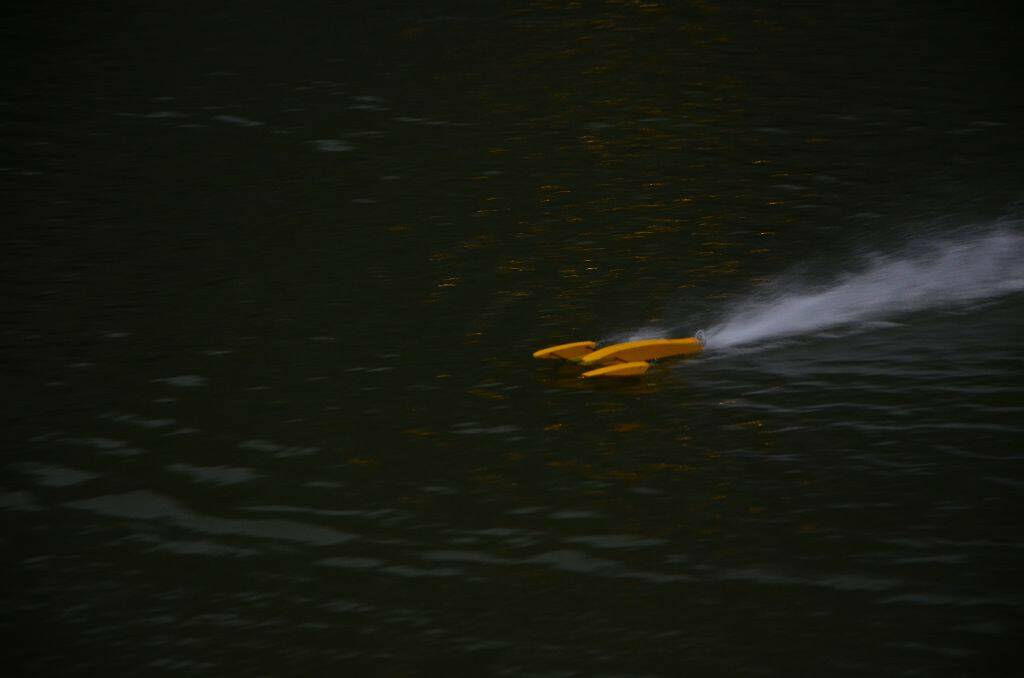 DSC_0636.jpg