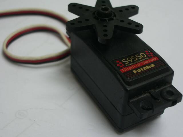 IMGP7981.JPG