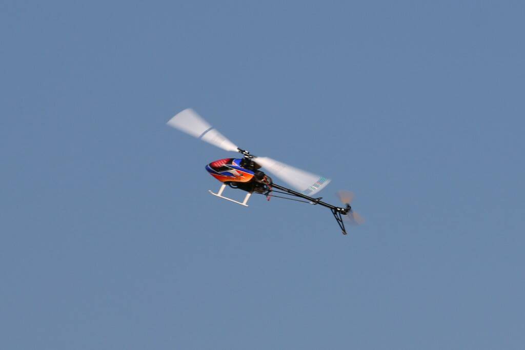 IMG_2481-1.jpg