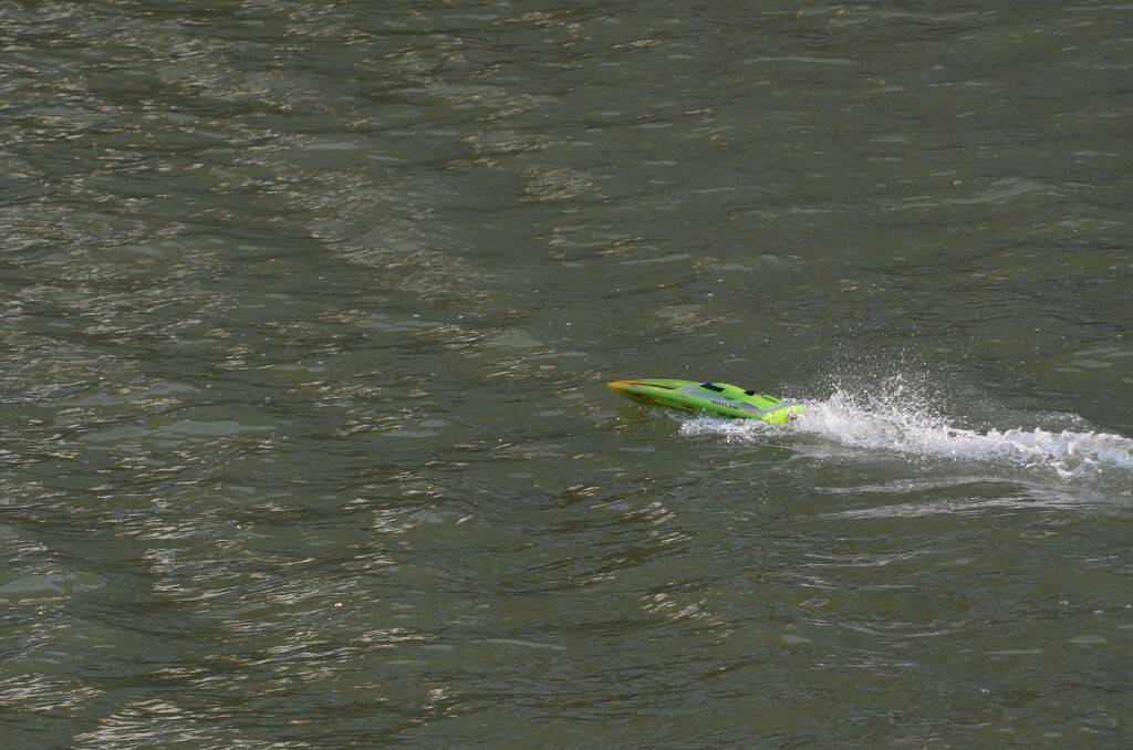 DSC_4142.jpg