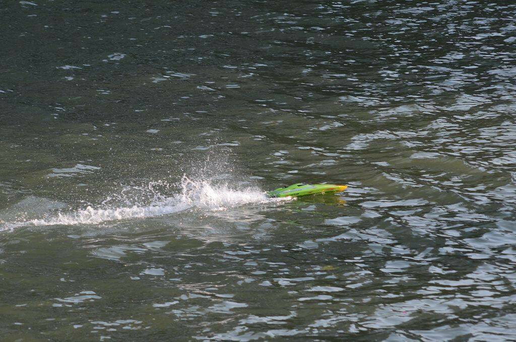 DSC_4146.jpg