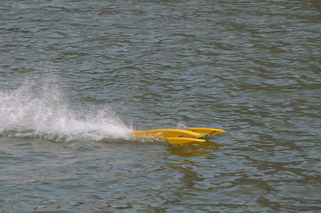DSC_4154.jpg