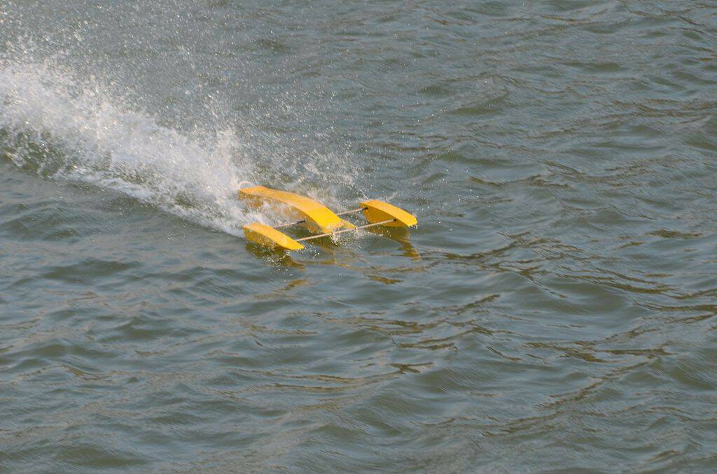 DSC_4162.jpg