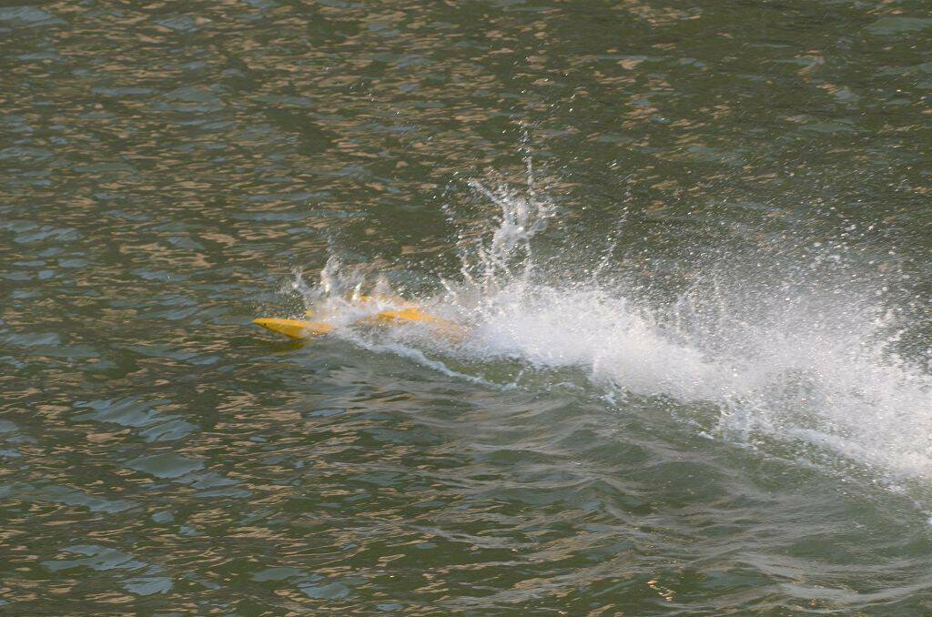 DSC_4164.jpg
