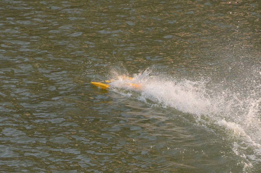 DSC_4175.jpg