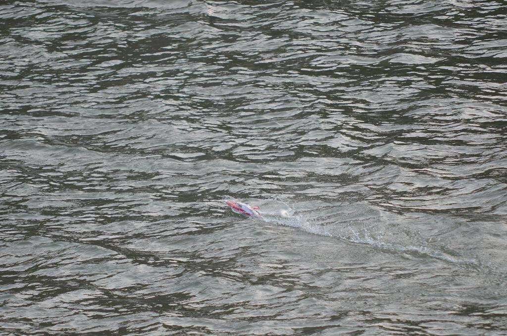 DSC_4177.jpg