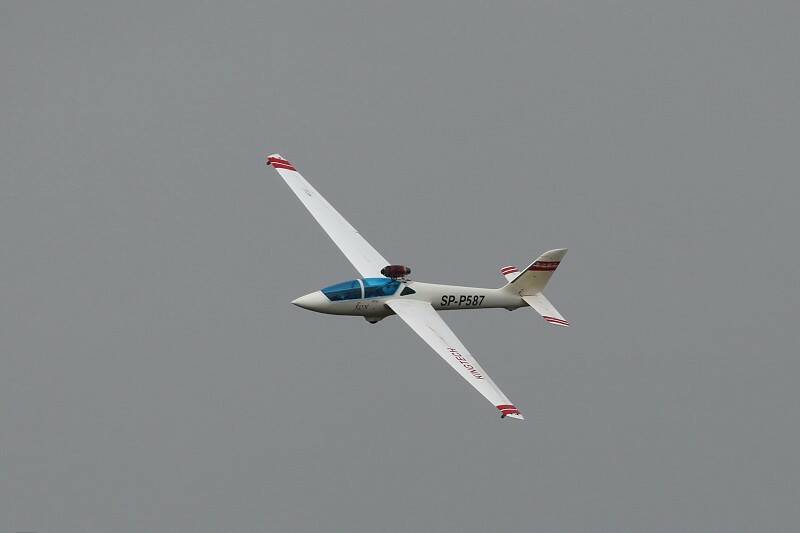 IMG_9022-800.jpg