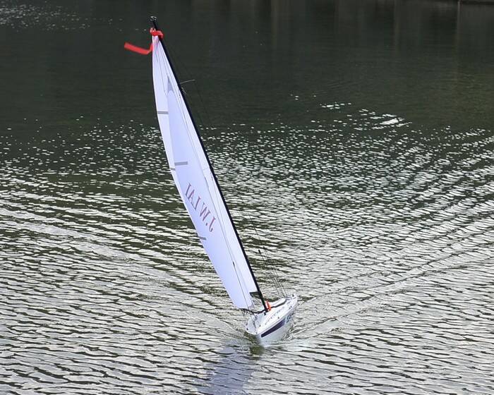 DSC_4648.jpg DSC_4648.jpg