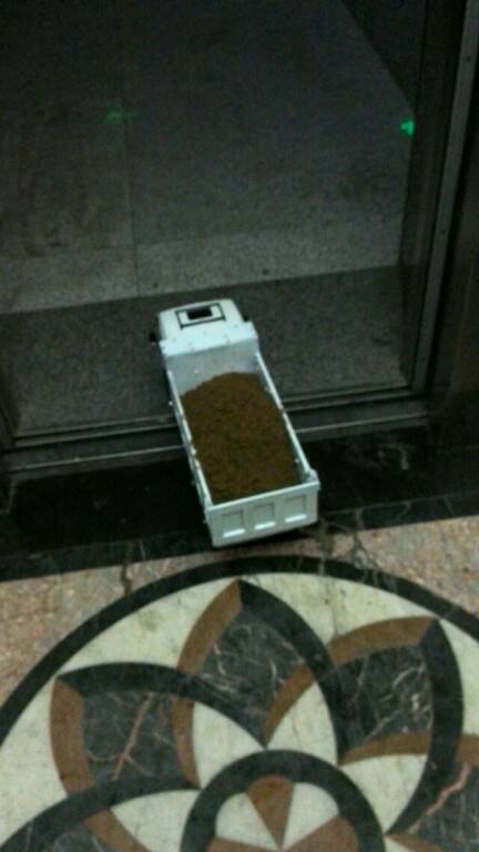 31.jpg