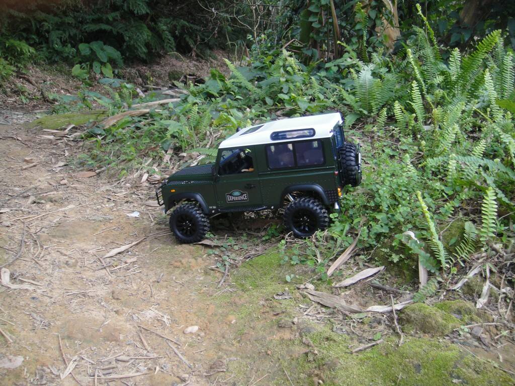 DSC03554.JPG