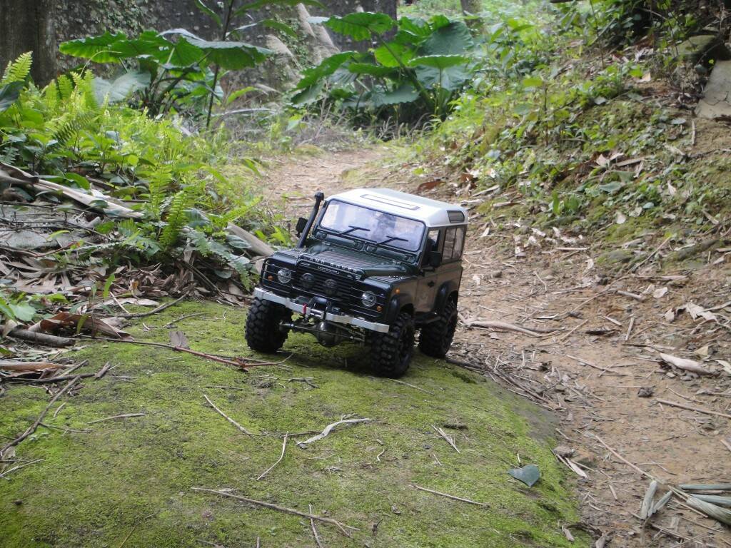DSC03555.JPG