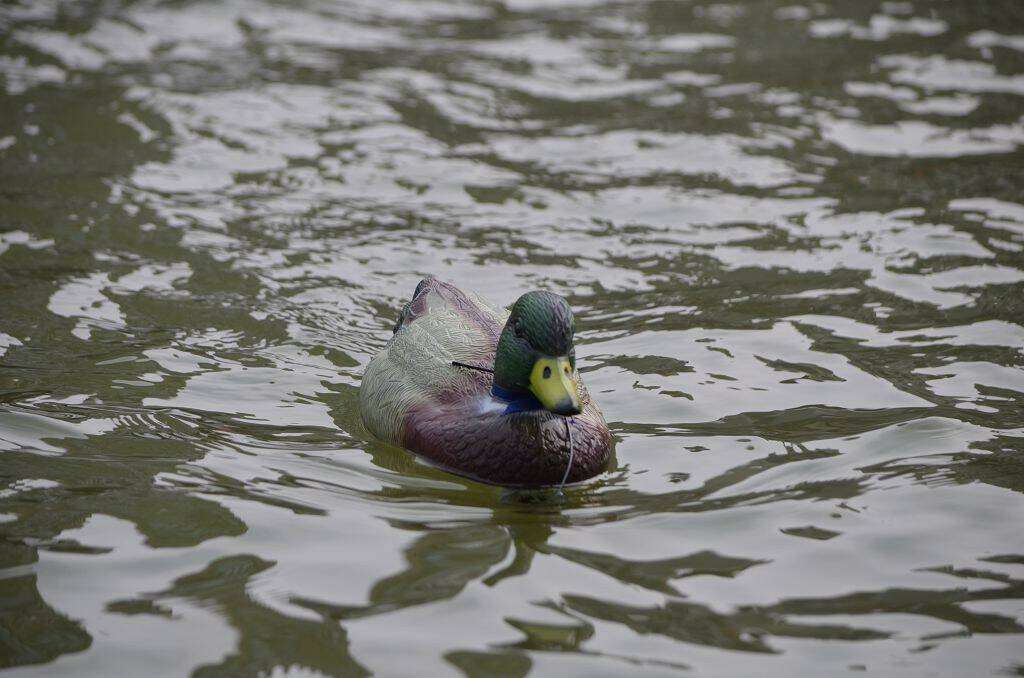 DSC_0476.jpg