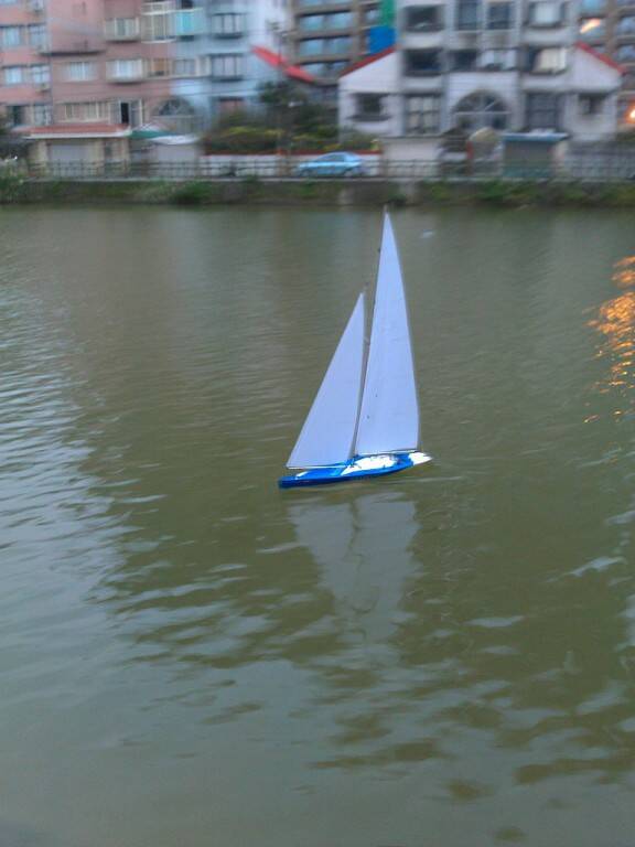 IMAG1317-1024.jpg