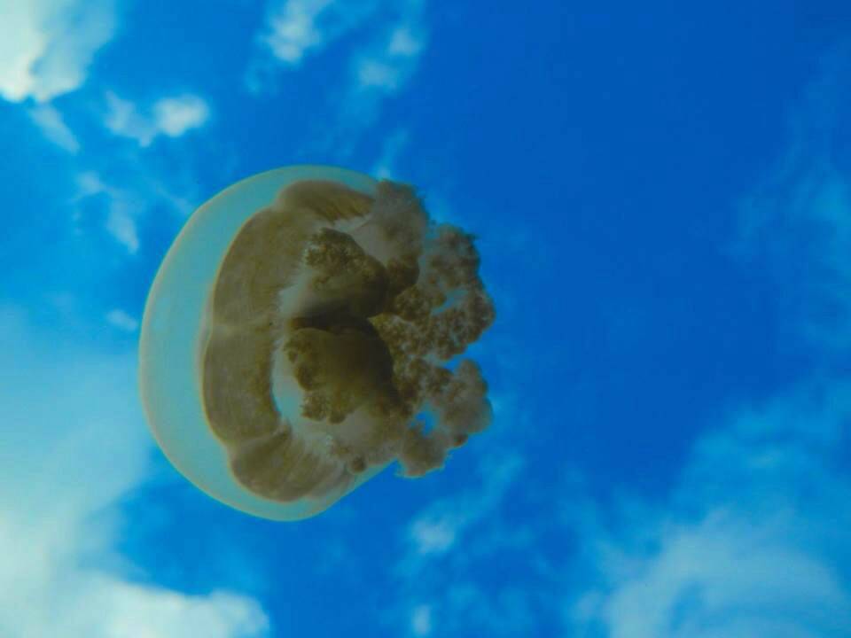 IMG_0283.JPG