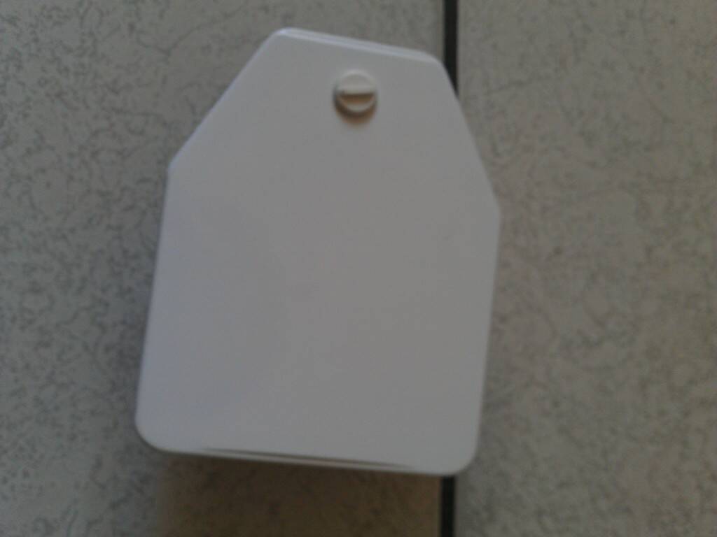IMAG1356.jpg
