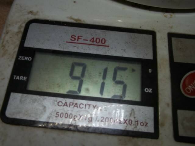 照片 1140.jpg