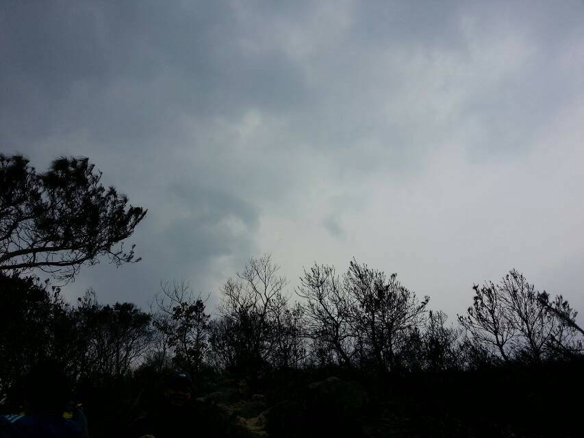 20140126_115030_resize_20140126_142436.jpg