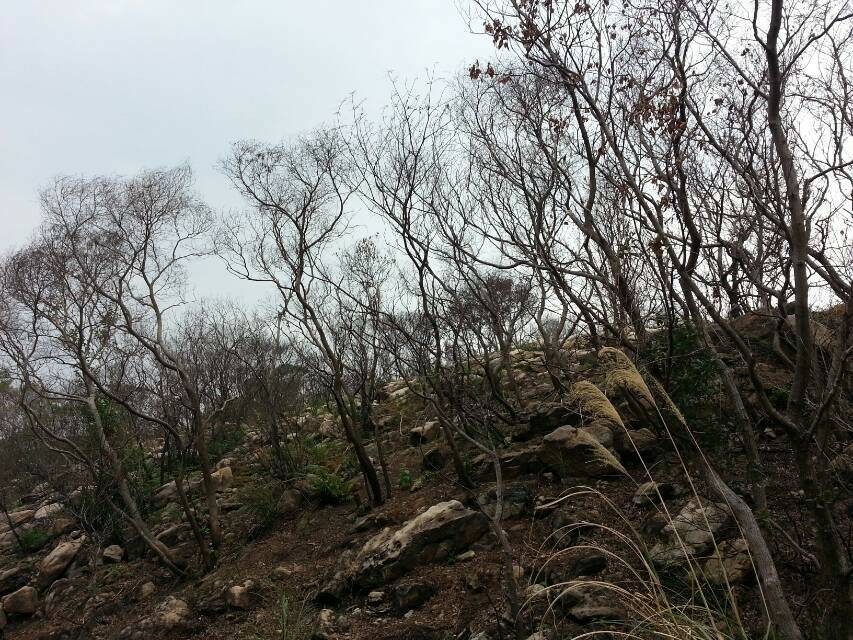 20140126_123133_resize_20140126_142246.jpg