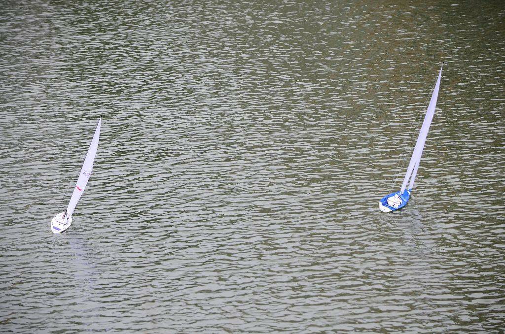DSC_0513.jpg