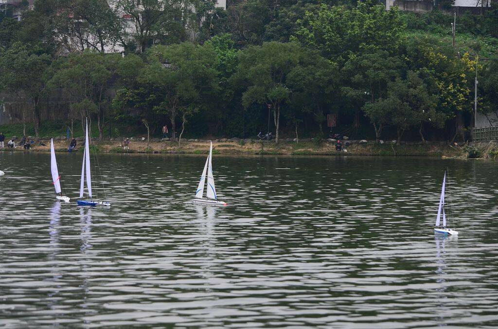 DSC_0538.jpg