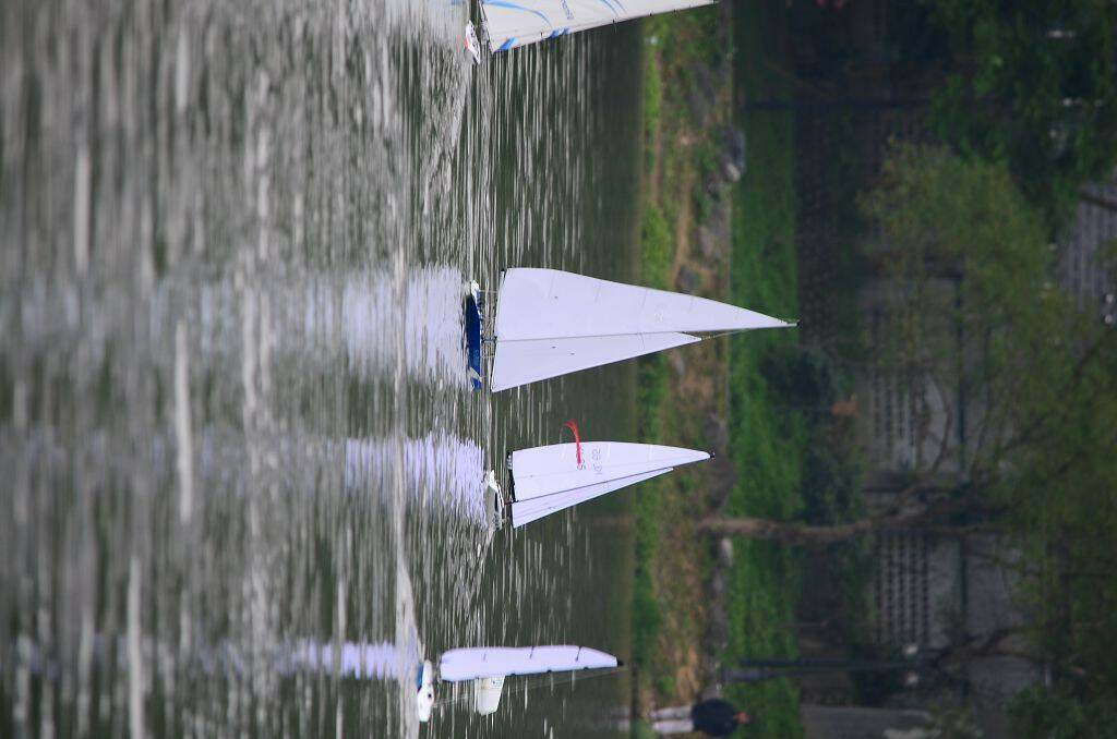 DSC_0543.jpg