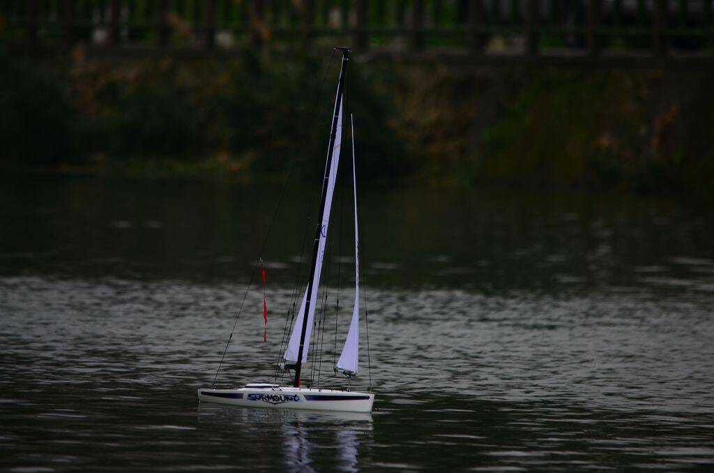 DSC_0550.jpg