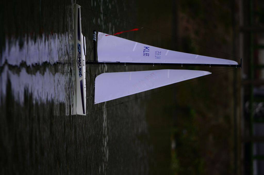 DSC_0554.jpg