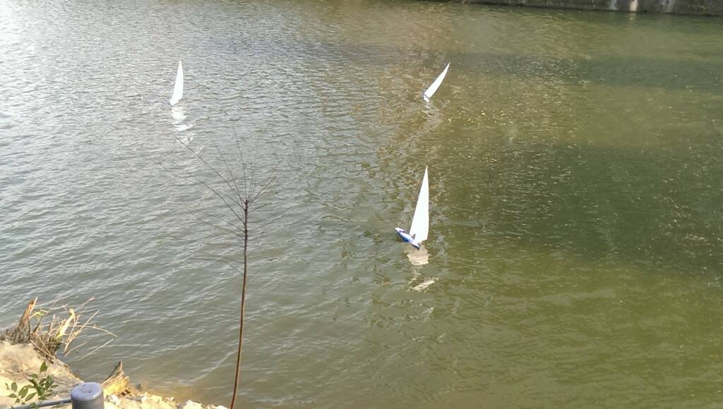 IMAG0210.jpg