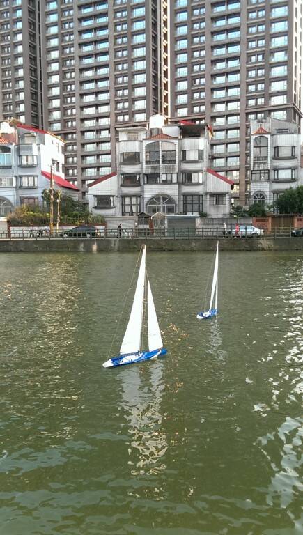IMAG0222.jpg