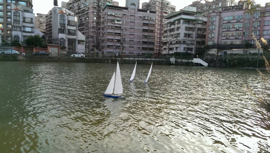 IMAG0233.jpg
