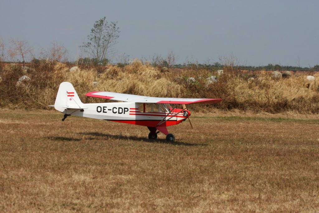 IMG_8295.jpg