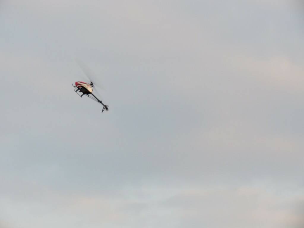 IMG_7060.JPG
