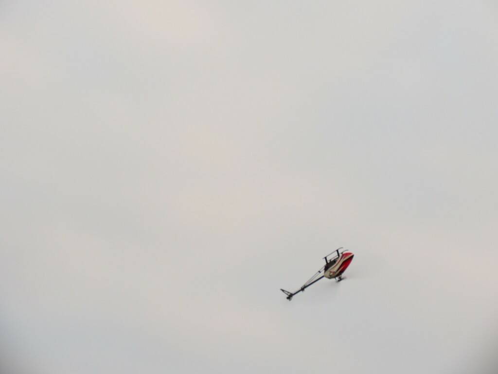 IMG_7063.JPG