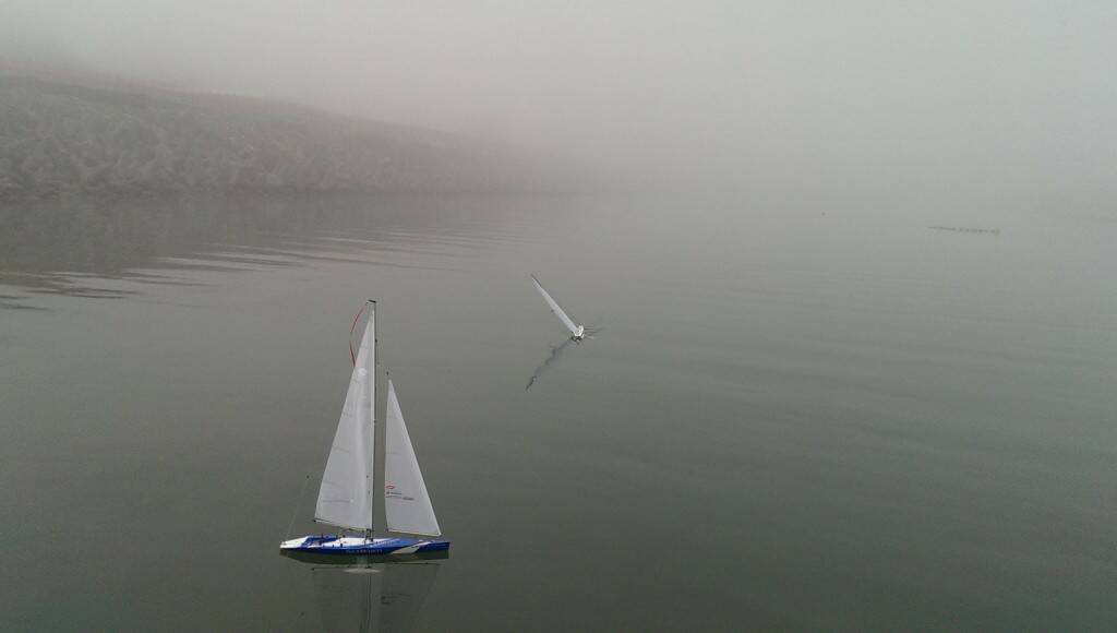 IMAG0276.jpg